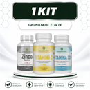 Vitamina C + Zinco + Vitamina D3